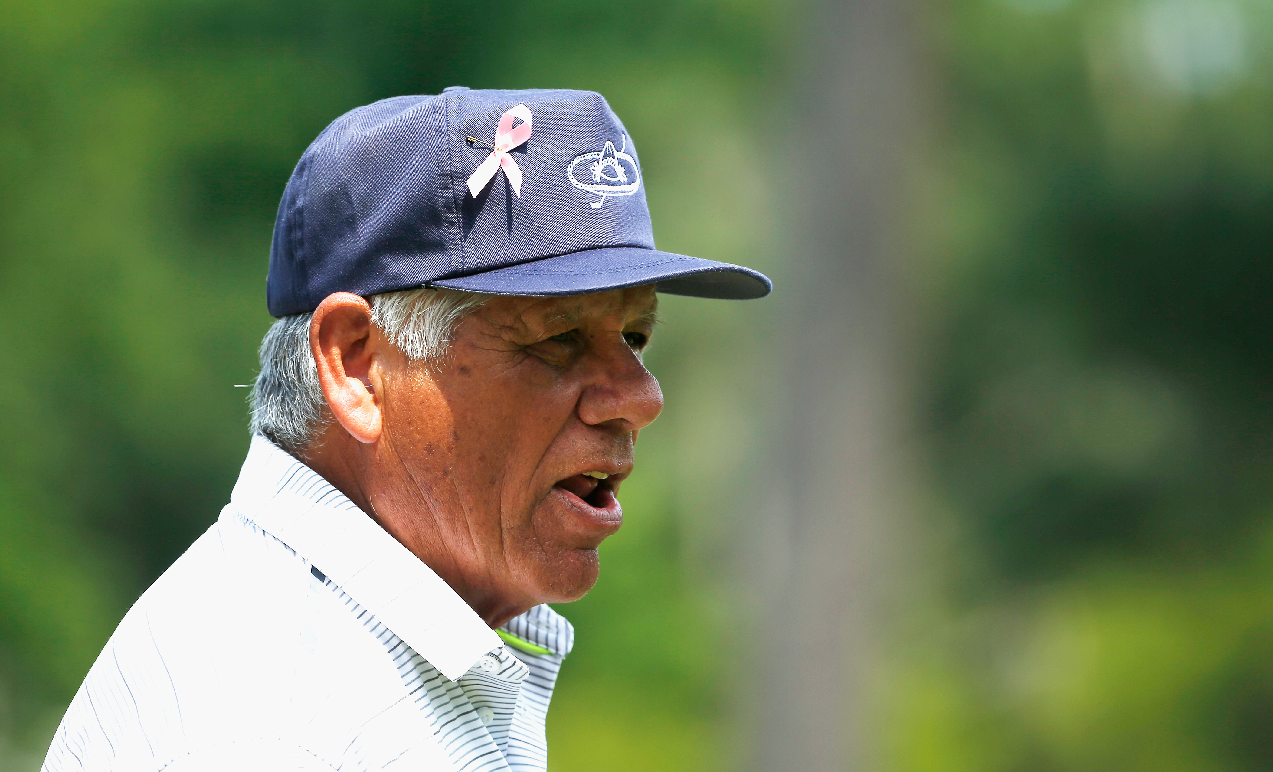 Lee Trevino's Fighting Golf - Wikipedia