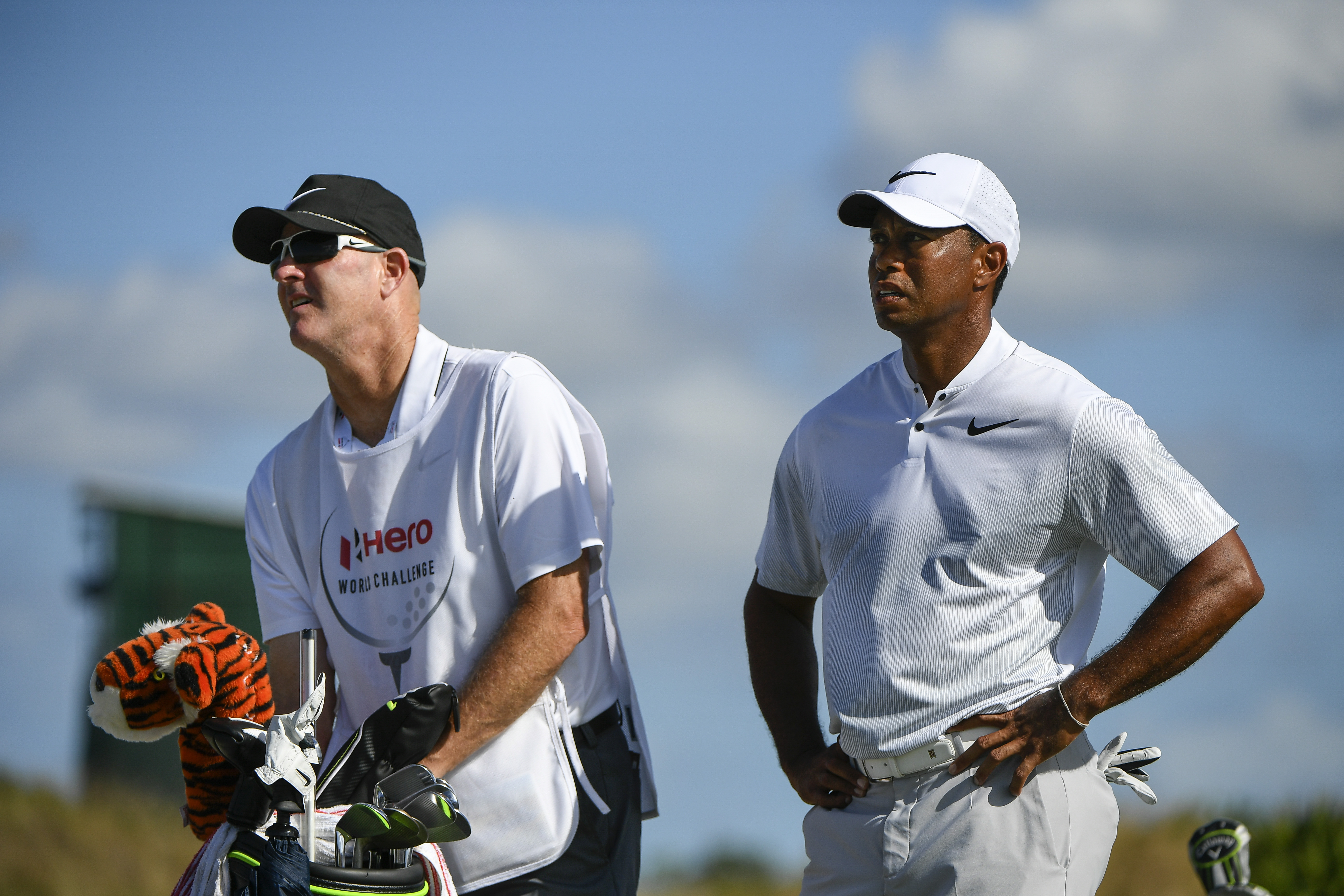 This one word Tiger Woods used to assess his comeback start at the Hero is  what golf fans wanted to hear, Golf News and Tour Information