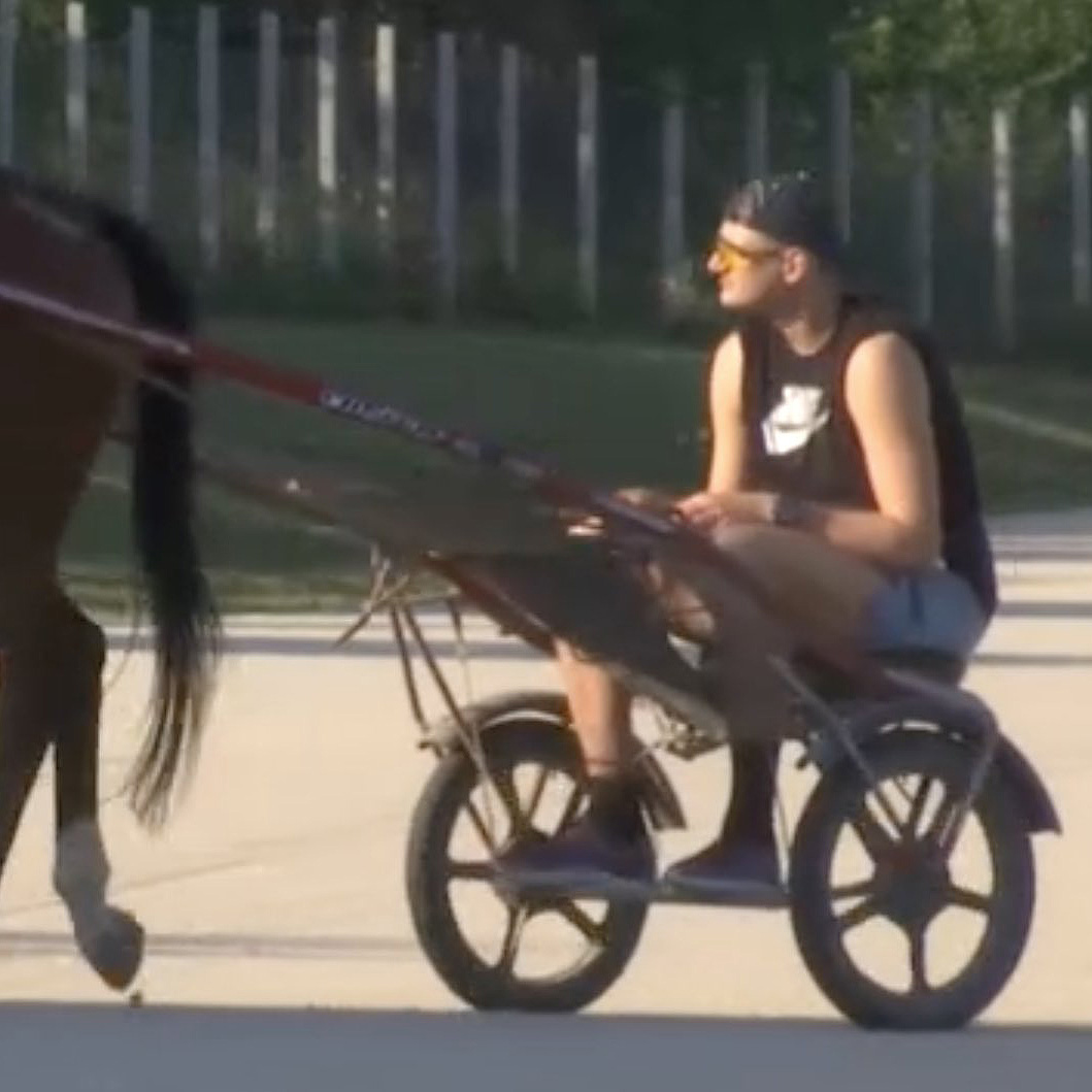 nikola jokic serbia horse