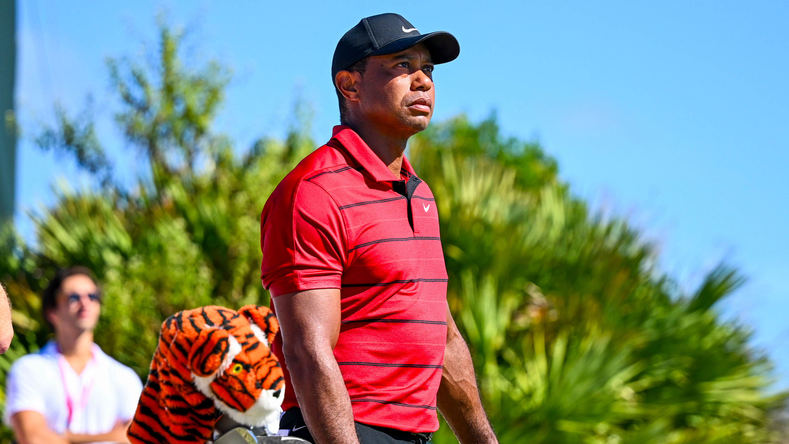Tiger Woods injury updates: Return date, latest news, PGA Tour status after  ankle surgery - DraftKings Network