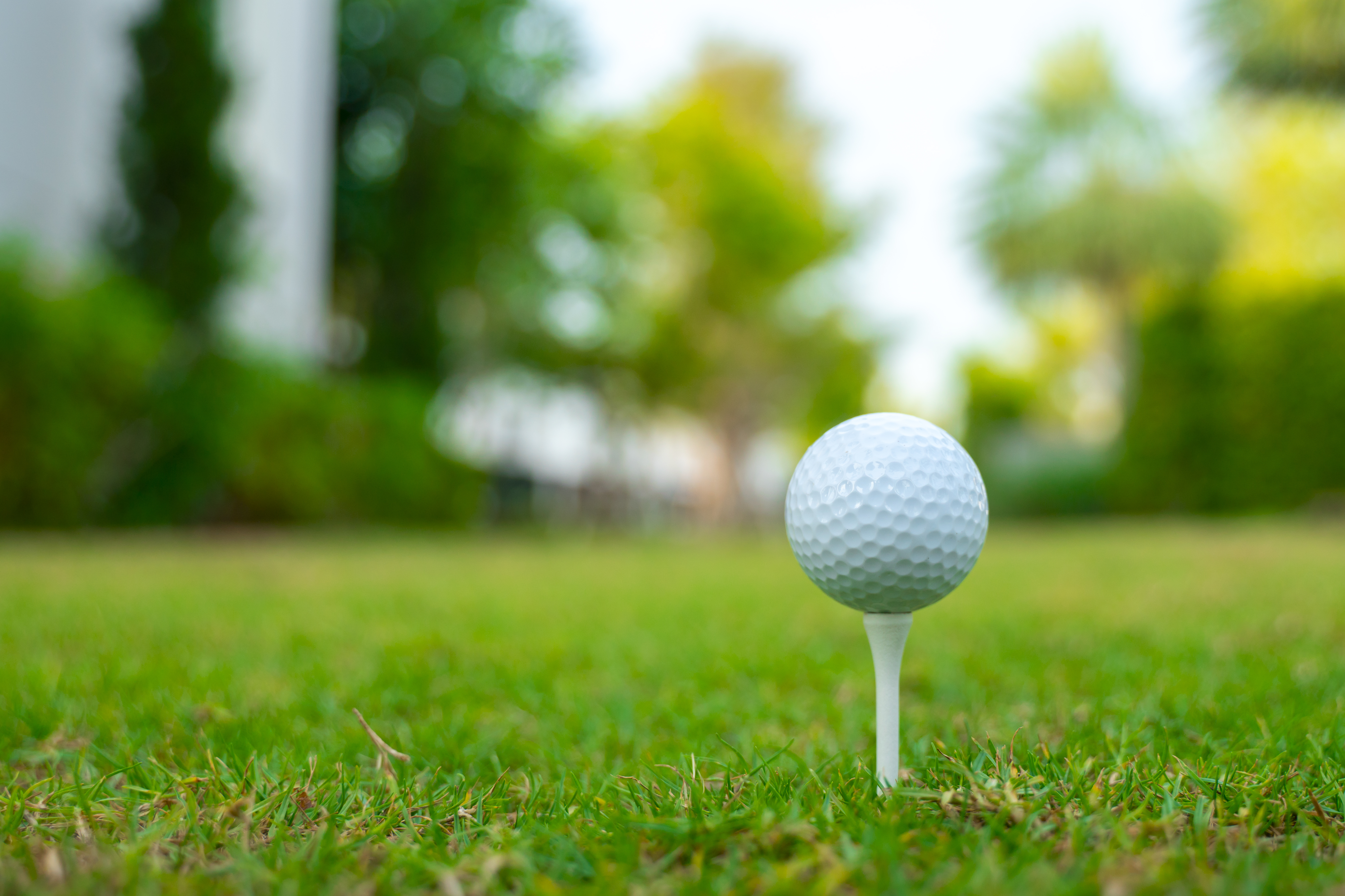 Golf Tee Sizes: Which Tee Length is Best for You?